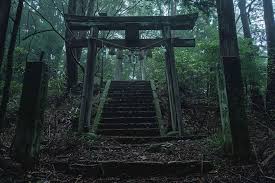aokigahara forest.jpg