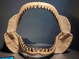 megalodon.jpg