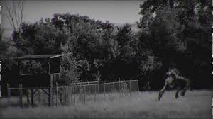 skinwalker ranch.jpg
