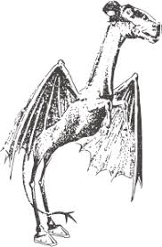 Homepage jersey devil.jpg