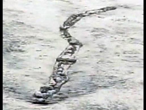 lagarfljot worm.jpg