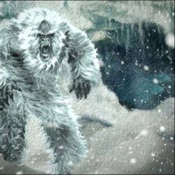 yeti.jpg