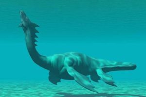 All Staff Posts ogopogo.jpg
