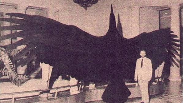 Could a legendary avian still be flying today? thunderbird.jpg