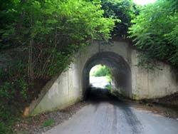 Haunted Bunny Man Bridge bunny man bridge.jpg