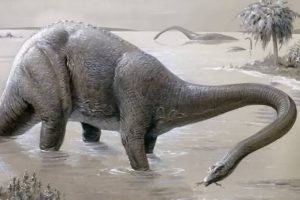 All Staff Posts mokele mbembe.jpg