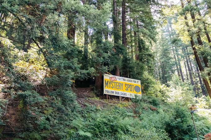 santa cruz mystery spot.jpg