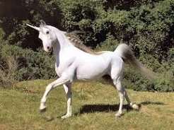 Homepage unicorn.jpg